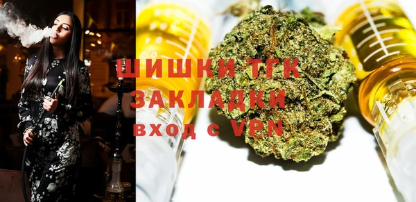 индика Нея