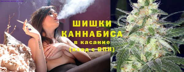 МДМА Бикин