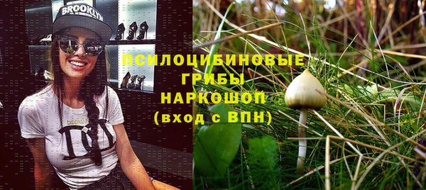 хмурый Билибино
