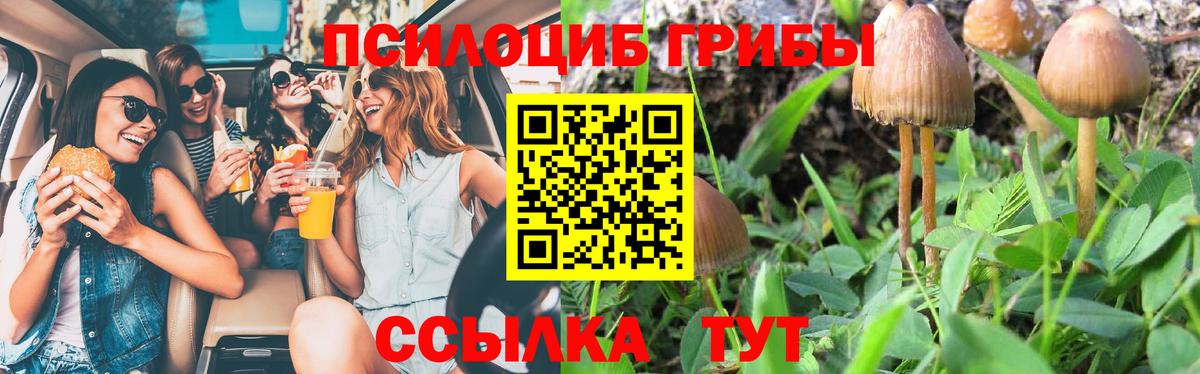 Галлюциногенные грибы мухоморы  Вход с VPN  Орск 